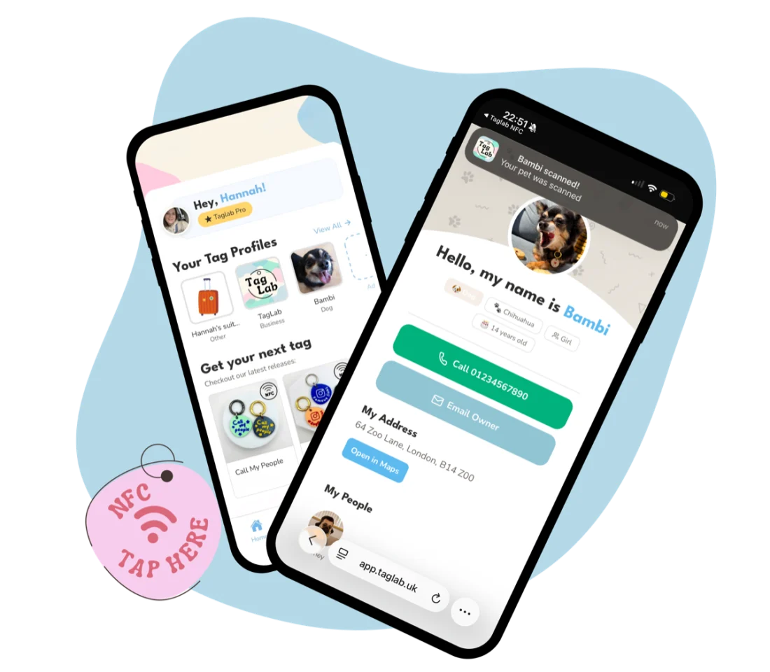 The TagLab companion app